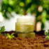 Крем для обличчя з екстрактом полині I'M FROM Mugwort Cream 50г