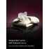 Спрей для тіла Victoria's Secret Bare Vanilla Intense Fragrance Mist