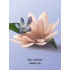 Лосьйон для тіла Victoria’s Secret Blue Jasmine Water Lily Hydrating Body Lotion