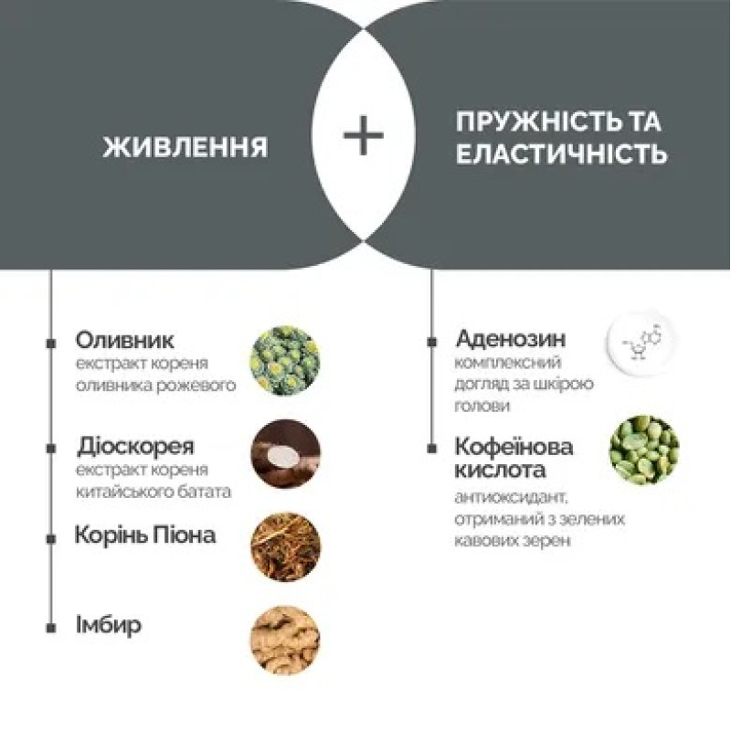 Шампунь проти випадіння волосся Dr.FORHAIR Folligen Shampoo, 70мл