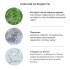 Крем з екстрактом чайного дерева Dr. Ceuracle Tea Tree Purifine 80 Cream