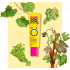 Відновлюючий бальзам Pure Paw Paw Grape з ароматом "Виноград", 15g